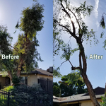 Before and After