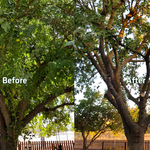 Before and After