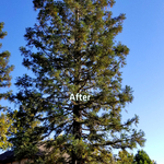 Before and After