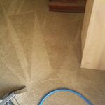 Carpet Cleaning