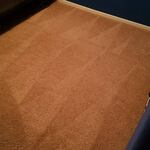 Carpet Cleaning
