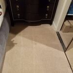 Carpet Cleaning