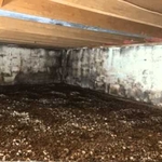Black Mold in crawl space