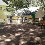 Back yard