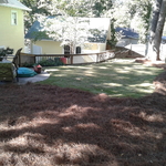 Back yard after sod and pine straw laid