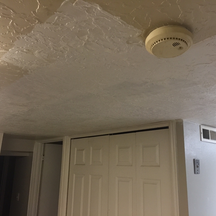 Textured and Primed 2