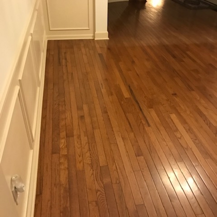 Floors & Moulding