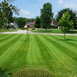 Lawn