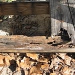 Weather damage