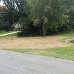 Lawn repair 1