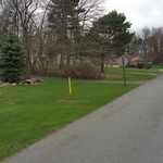 Lawn repair 1