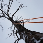 Climbing rope