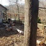 Fitting big wood in tight holes