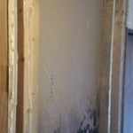 My work