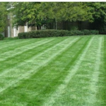 Maintain and Mow