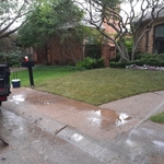 Dallas- Front Yard