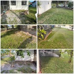 Before and after sod installation