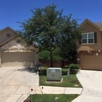 Tree Trim - after
