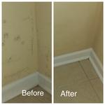 Before and After
