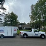 Pest Control Insulation