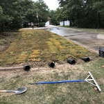 Sod down. Drains in