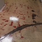 clear epoxy seal/primer