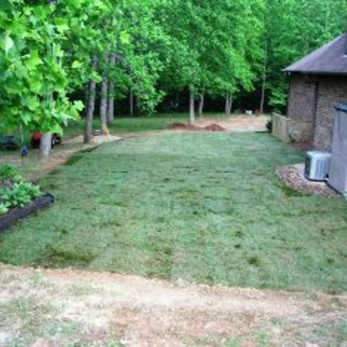 Sod & Bed Installation