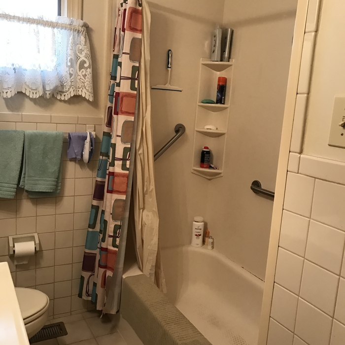 Bathroom Remodel