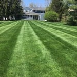Grass Cut