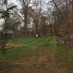 Leaf Removal