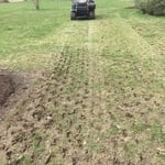 Aeration and Reseeding