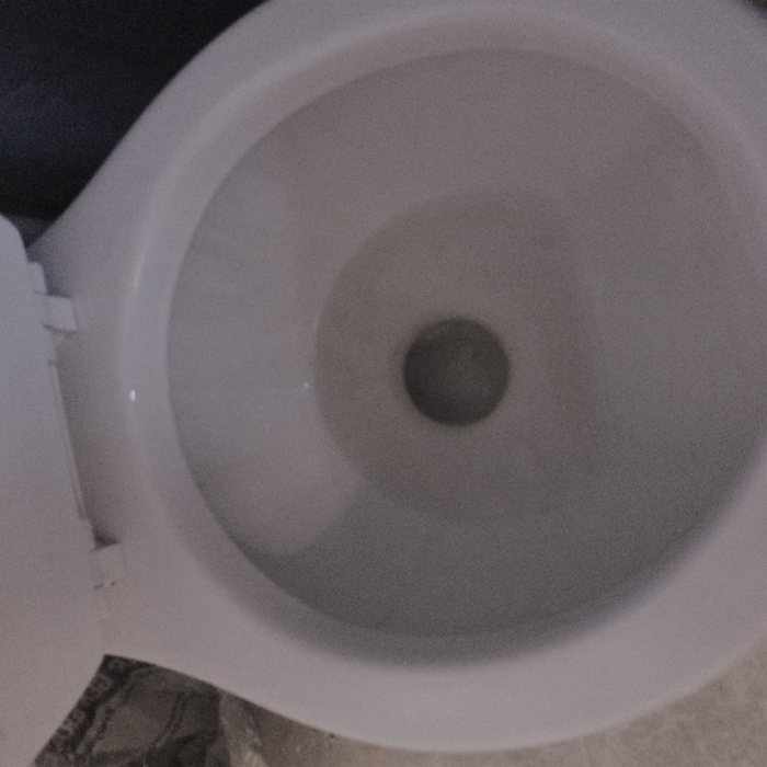 Toilet After Cleaning