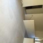 Carpet Clean