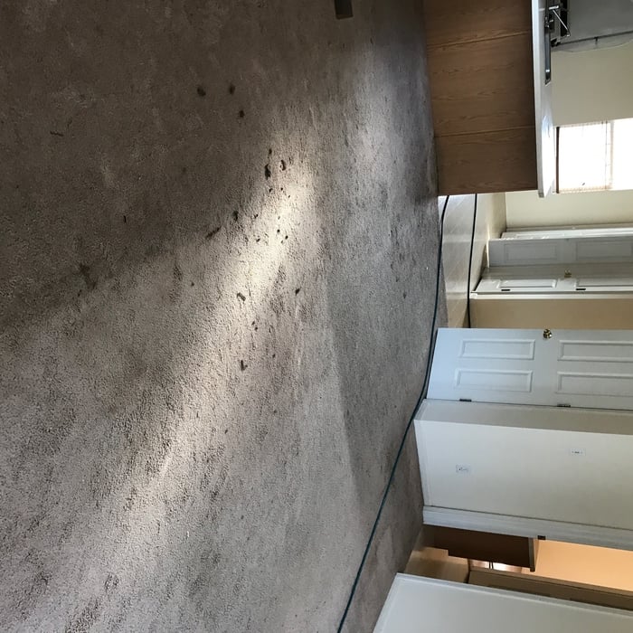 Living room carpets
