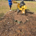 Stump Grinding