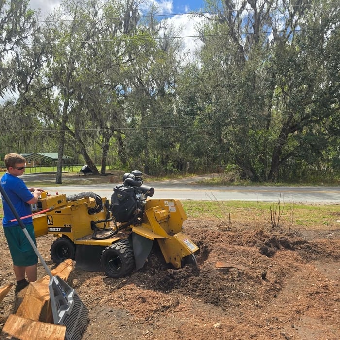 Stump grinding
