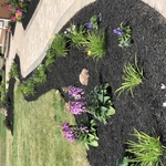 Landscape installation