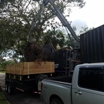 Hauling