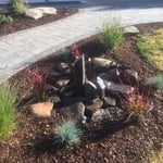 Petoskey Project