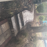Patio/ walkway