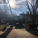 Hyde Park crane removal