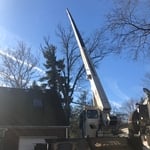 Hyde Park crane removal