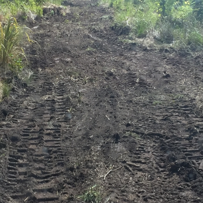 Clearing of Hunting Paths