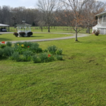All Lawn Service