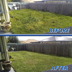 Foreclosure clean