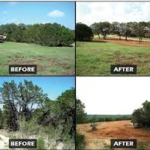 Land clearing and Cellar hole