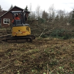 Tree clearing