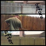 Fence stain