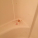 Master shower