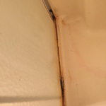 Master Shower